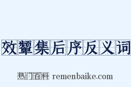 效颦集后序反义词是什么意思的图片